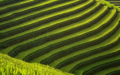 Las 3 capas que debes gestionar para transformar tu empresa